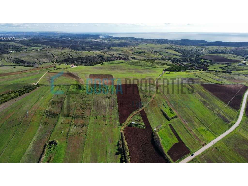 Terreno Rústico de 3.400m² com Potencial Agrícola na Raposeira - Grande imagem: 5/21