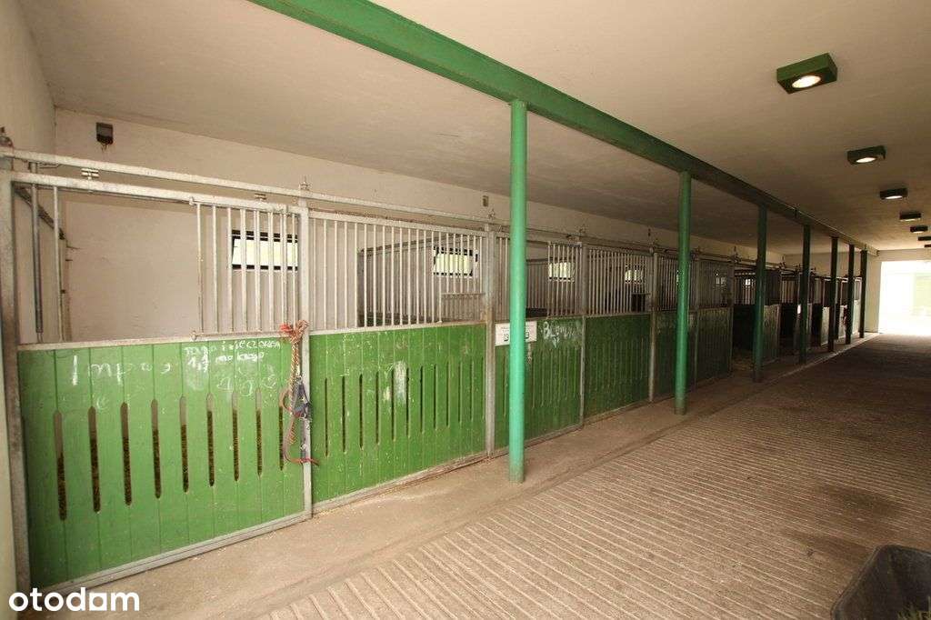 Stadnina koni z pełnym zapleczem hotelowym-15