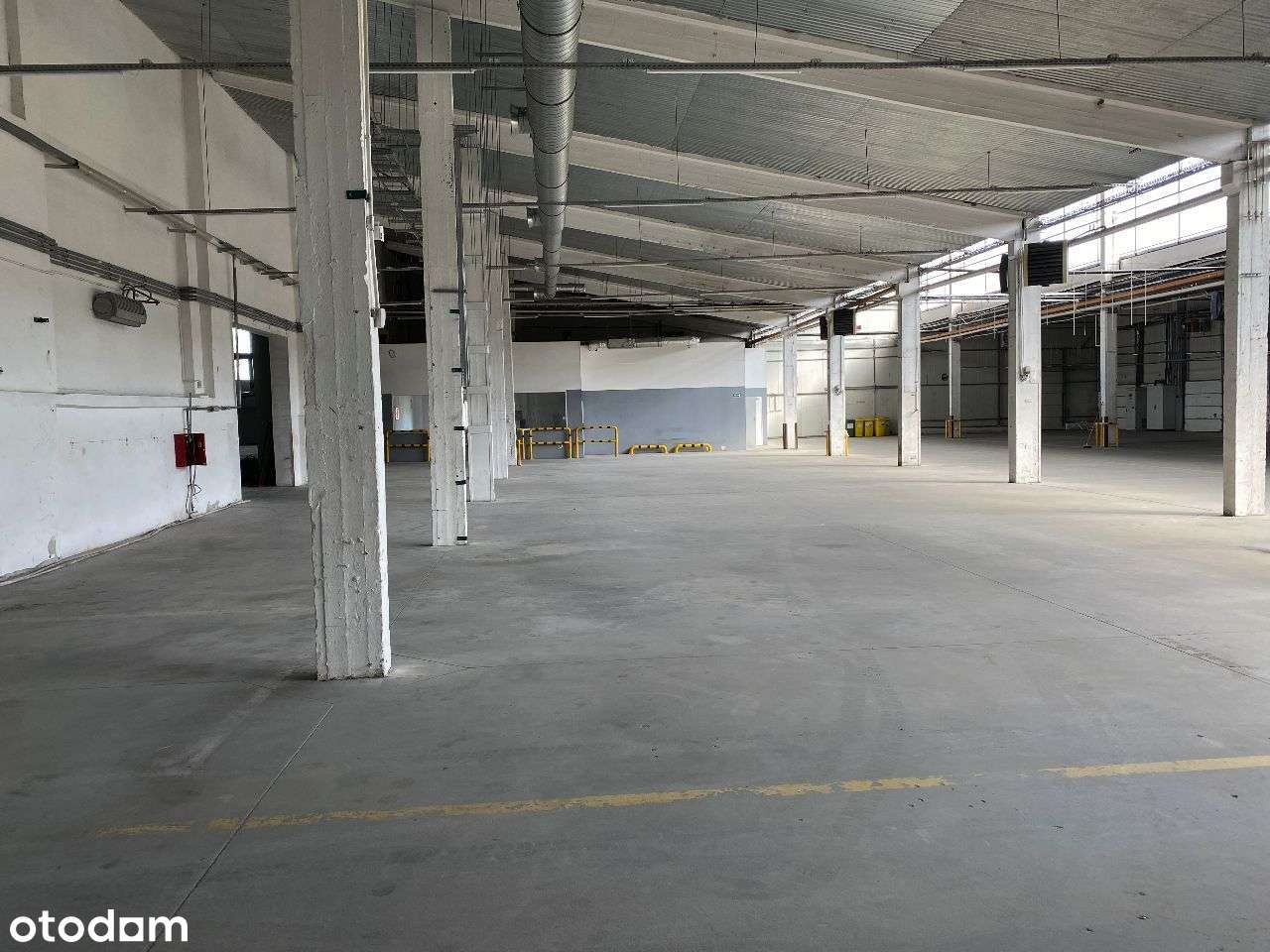 Hala 4150m2/2000m2 na wynajem - Pełny obrazek: 4/5