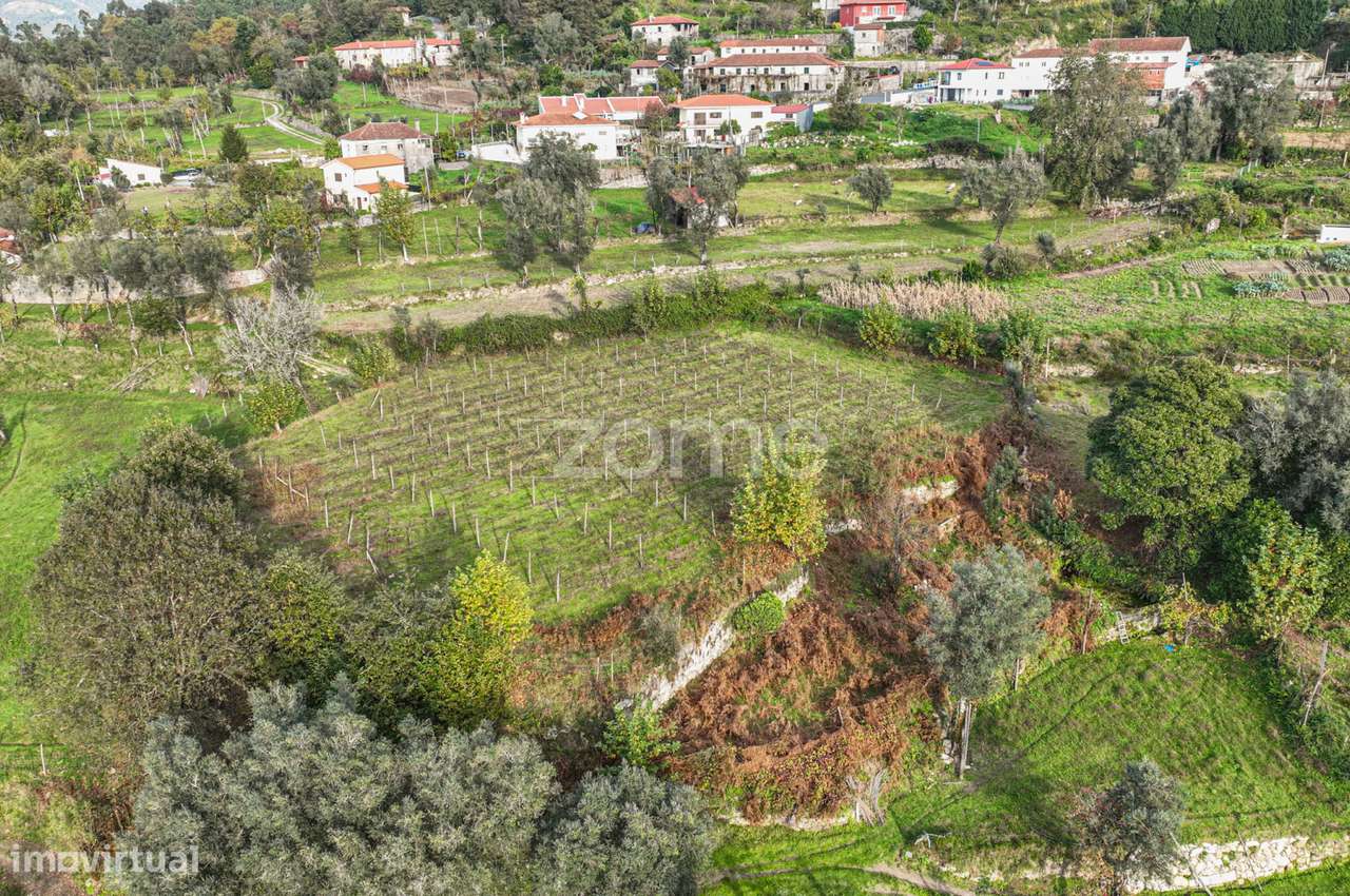 Quinta em Terras de Bouro - Gerês-17