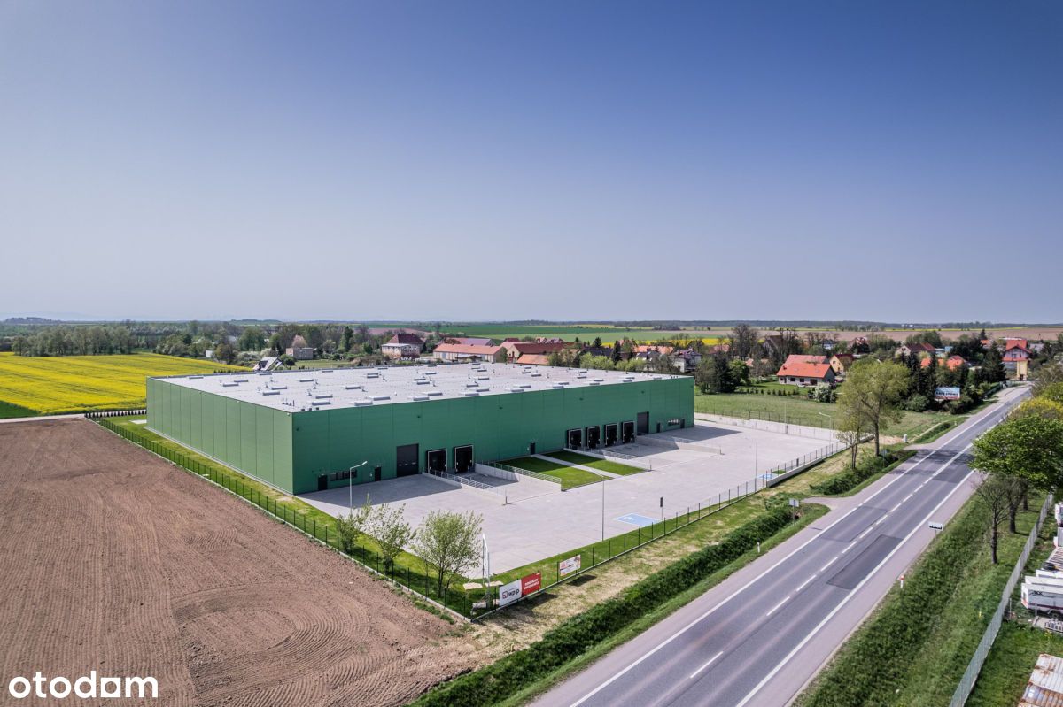Hala/Magazyn, 5 000 m², Wrocław