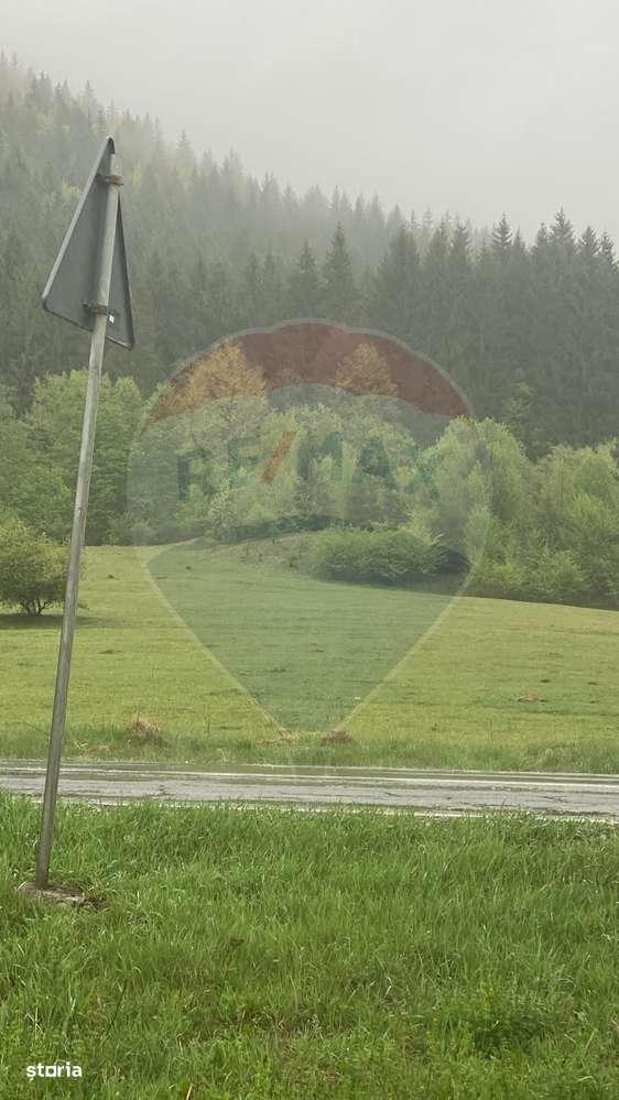 Teren de vanzare Sacele I Brasov - Oportunitate de investitie - Imagine principală: 1/4