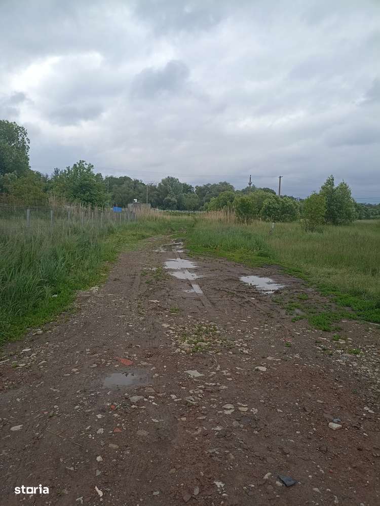 De vânzare teren intravilan construibil în Sfântu Gheorghe-7