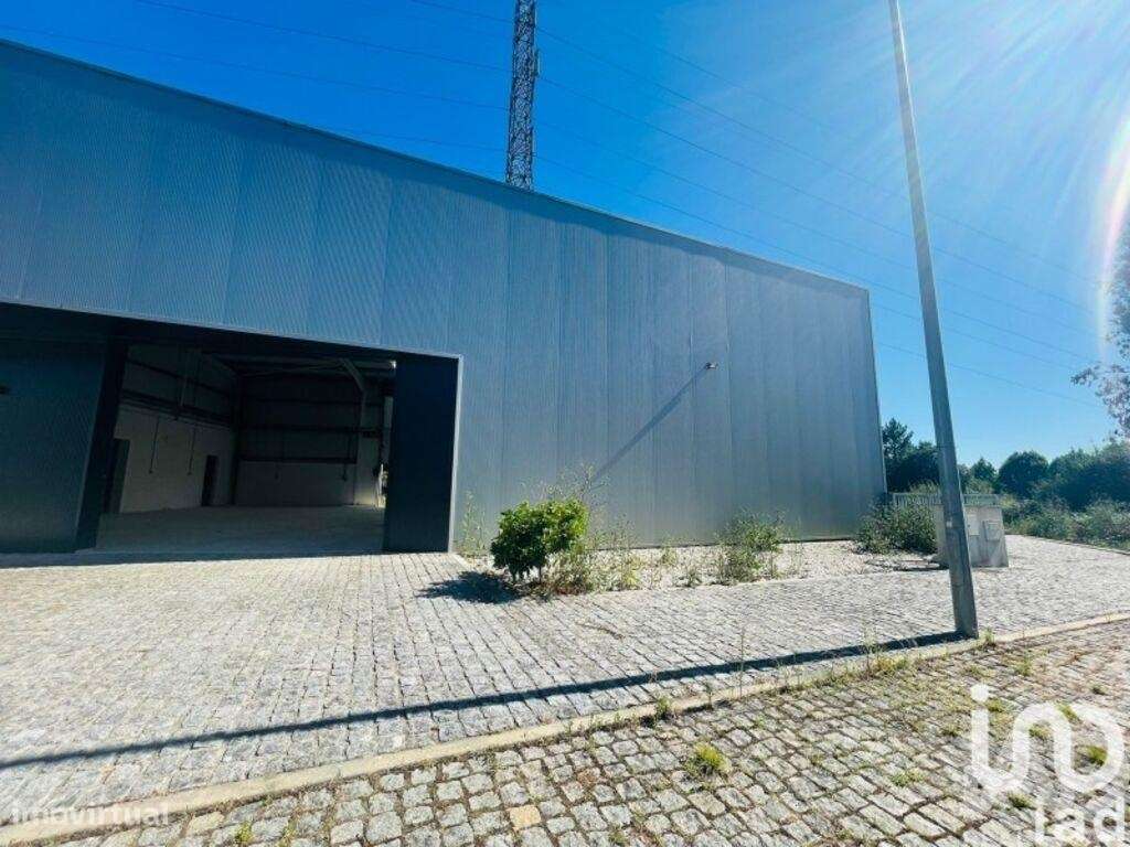 Loja / Estabelecimento Comercial em Mujães de 361,00 m2 - Grande imagem: 4/4