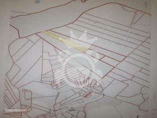 Terreno/Olival = NOVO PREÇO!! - Grande imagem: 5/5