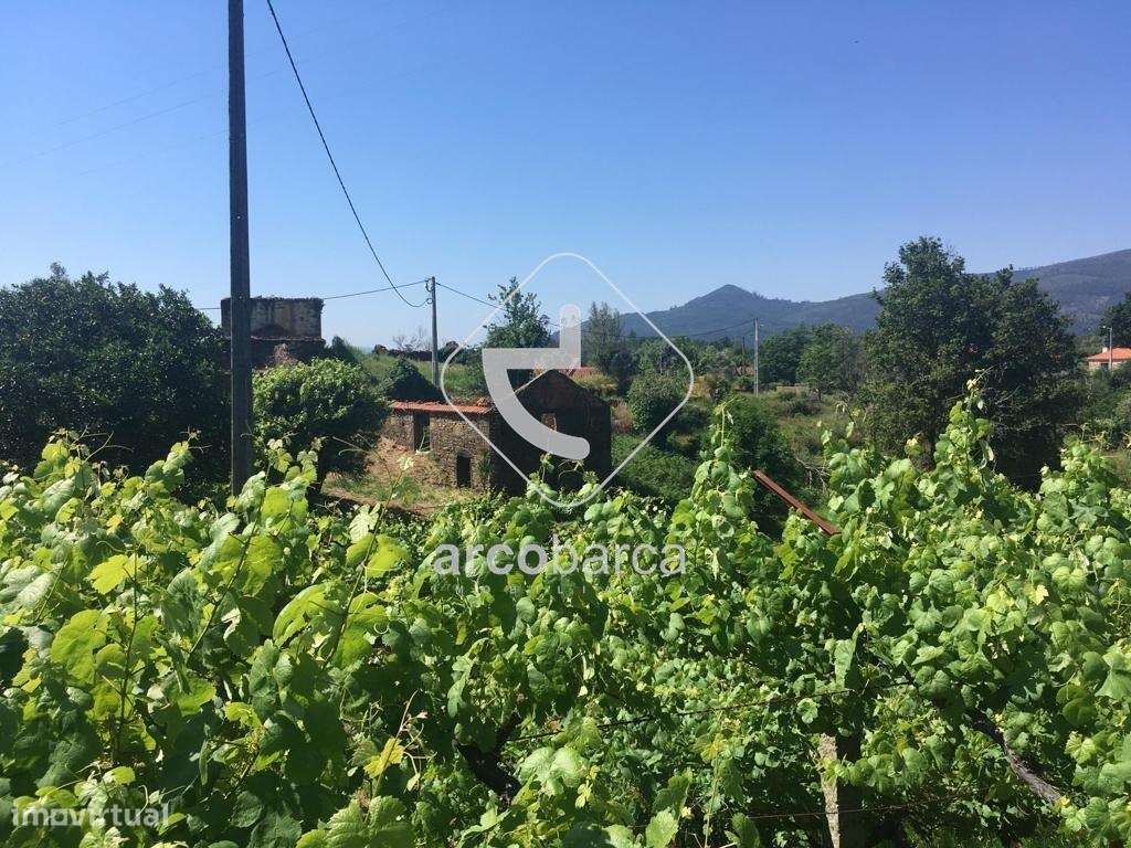 Quintinha ruinas p/restauro com 2520m2 - Moreira Lima - Ponte de Lima-26