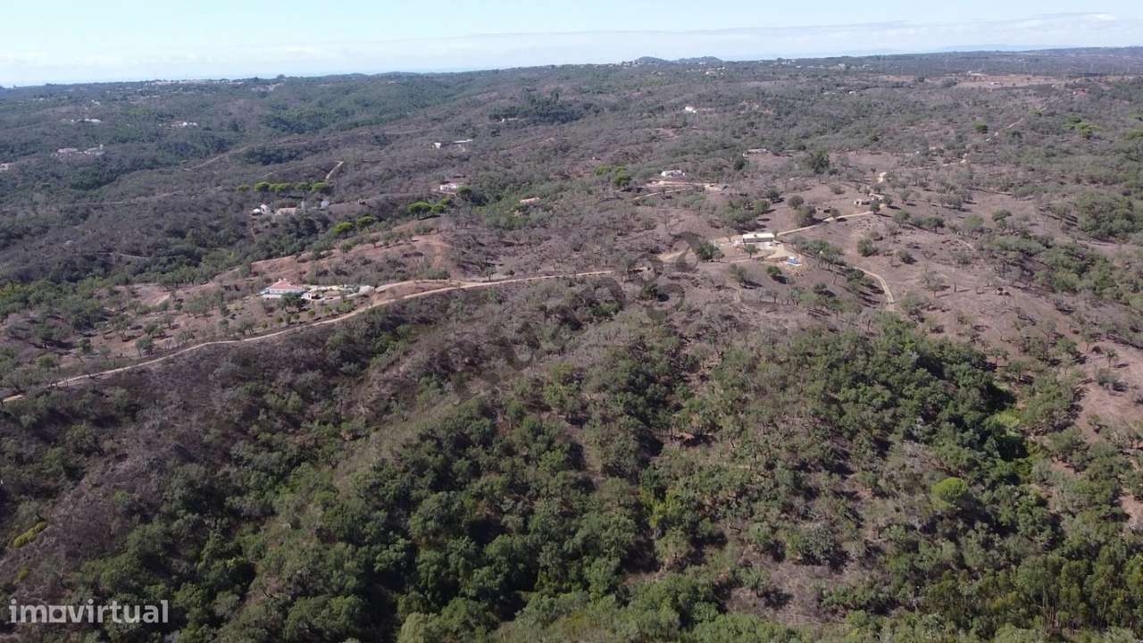 Terreno de 5,775 ha em São Francisco (próximo da Cruz de João Mende-2