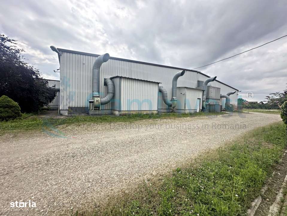 Gaminvest Hala de productie sau depozitare,de inchiriat,Santion,A2164 - Imagine principală: 4/9