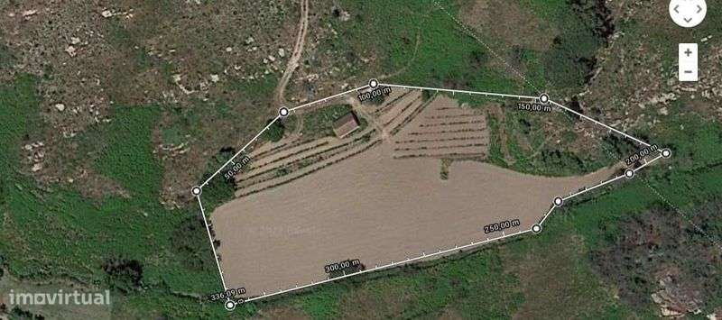 QUINTA  com casa , poço, tanque , vinha . - Grande imagem: 5/12