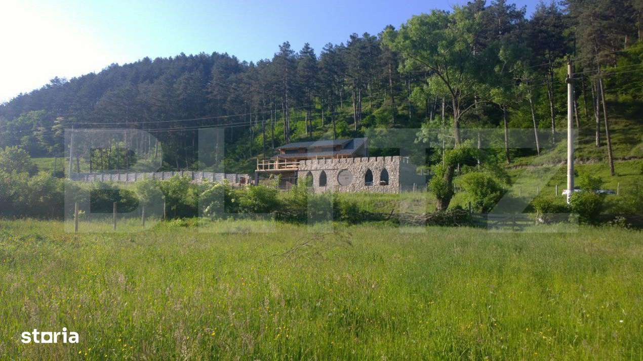 Oportunitate!!! Casa individuala la rosu, 247 mp, Teren 5000 mp in Sur - Imagine principală: 1/9