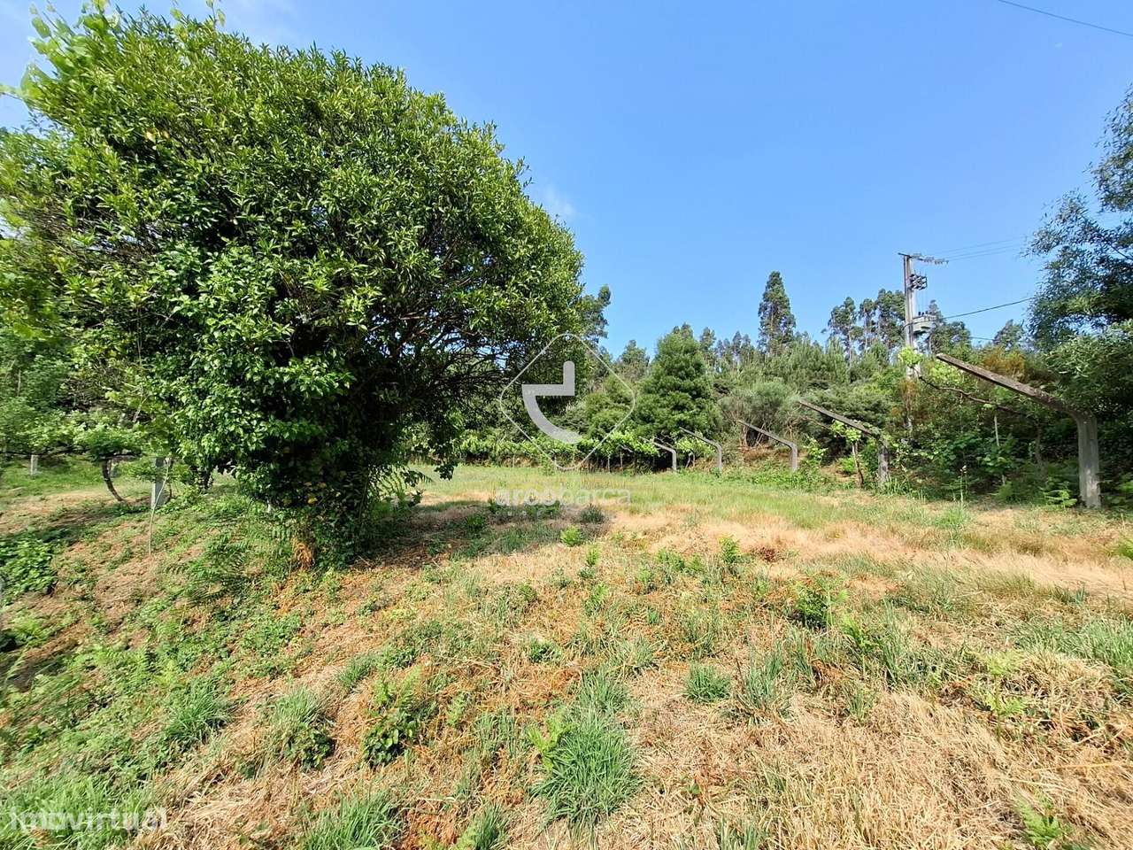 Quintinha ruinas p/restauro com 2520m2 - Moreira Lima - Ponte de Lima-2