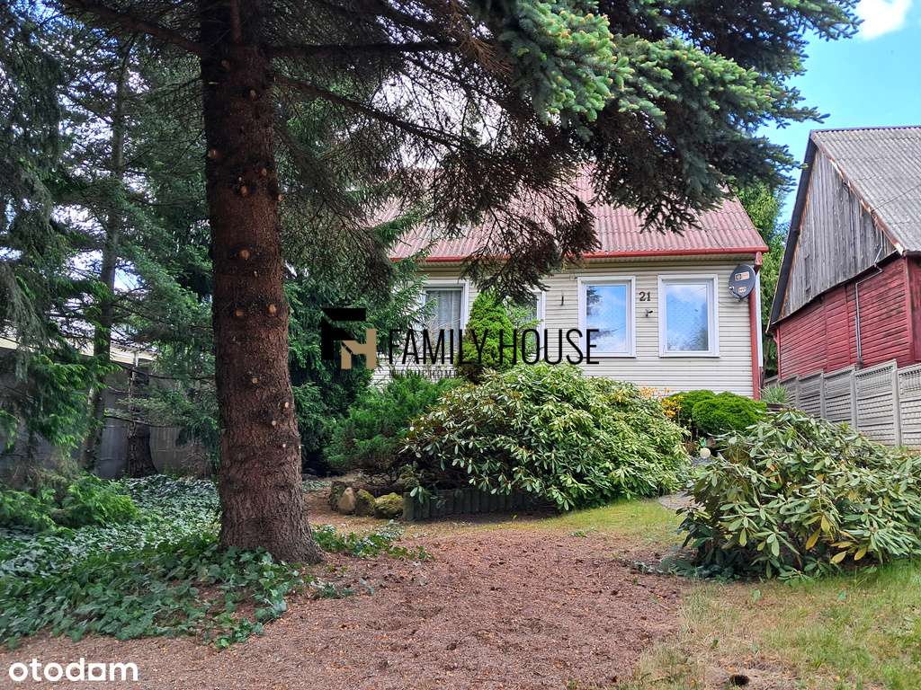 Drewniany dom 100 m2 z pięknym ogrodem - Pełny obrazek: 4/20