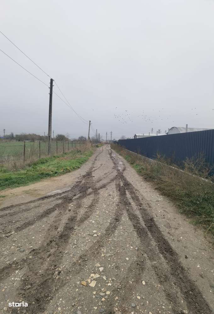 Topraisar langa Biosera Sofra teren 4649 mp cu hala 347 mp 17 eur mp - Imagine principală: 5/6