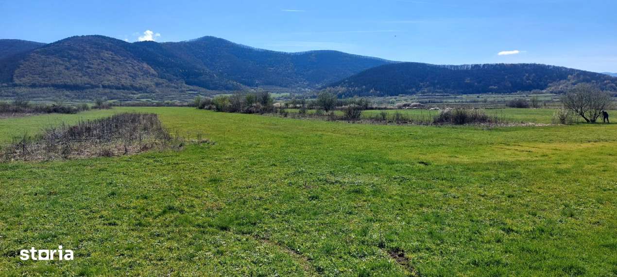 Teren  2250mp extravilan ,spre vanzare - Poplaca - Imagine principală: 2/4