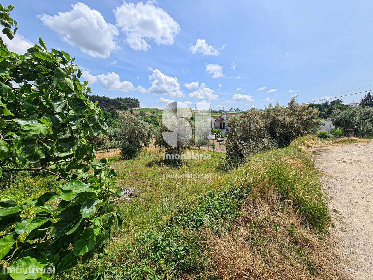 Terreno - Fragosela - Grande imagem: 5/17