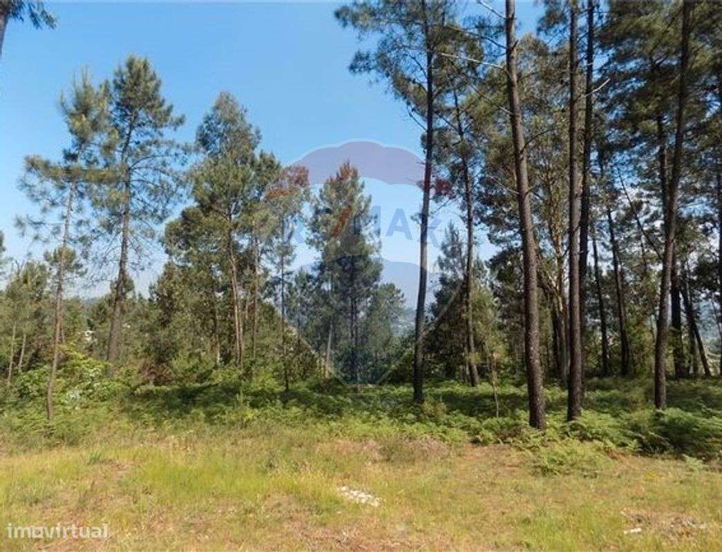 Terreno  para venda-1