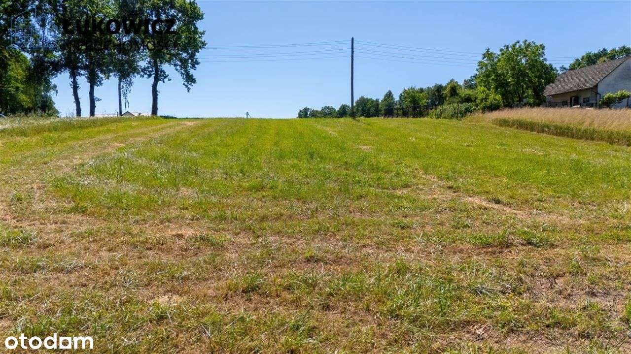 Działka Dankowice, świetna lokalizacja! 3057 m² - Pełny obrazek: 4/20