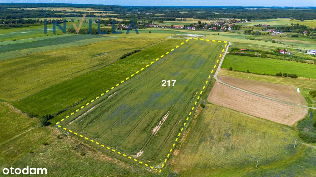 piękna działka w Ełganowie - Pełny obrazek: 5/9