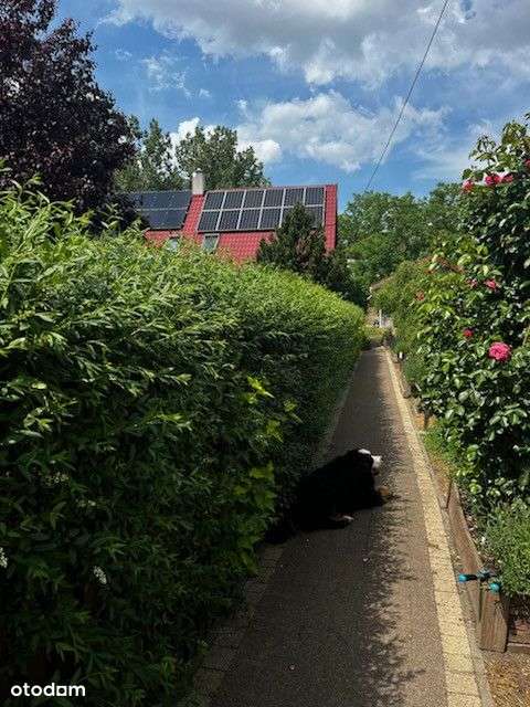 Perełka♥️ wśród domów blisko do autostrady A1 i A2 - Pełny obrazek: 2/20