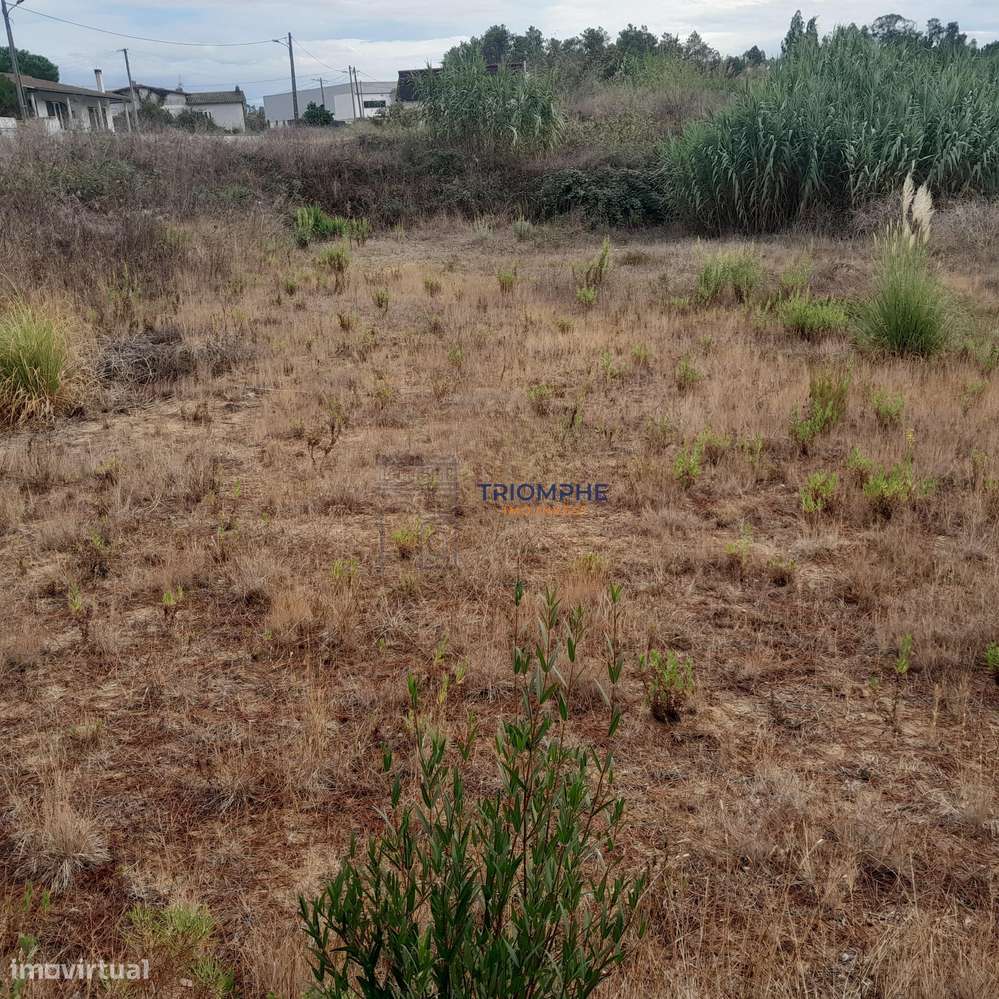 Terreno Urbano área 5.605 M² Amor, Leiria - Grande imagem: 2/13