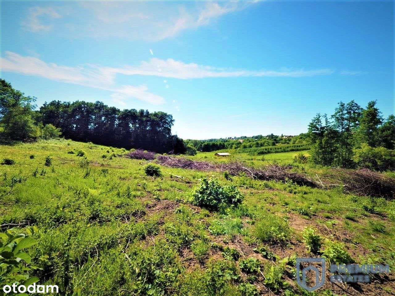 Działka inwestycyjna | 3 Projekty chłonności Pum-1