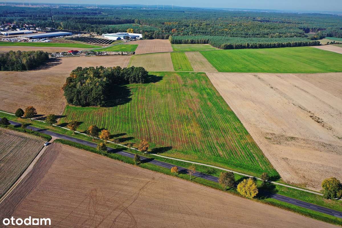 Atrakcyjna działka budowlana - Margonin - Pełny obrazek: 4/13