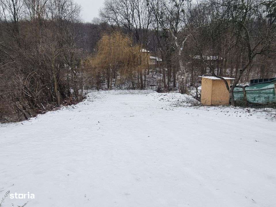 Hemeius- Teren cu deschidere la padure si parau. Cu salcie la mal!-1