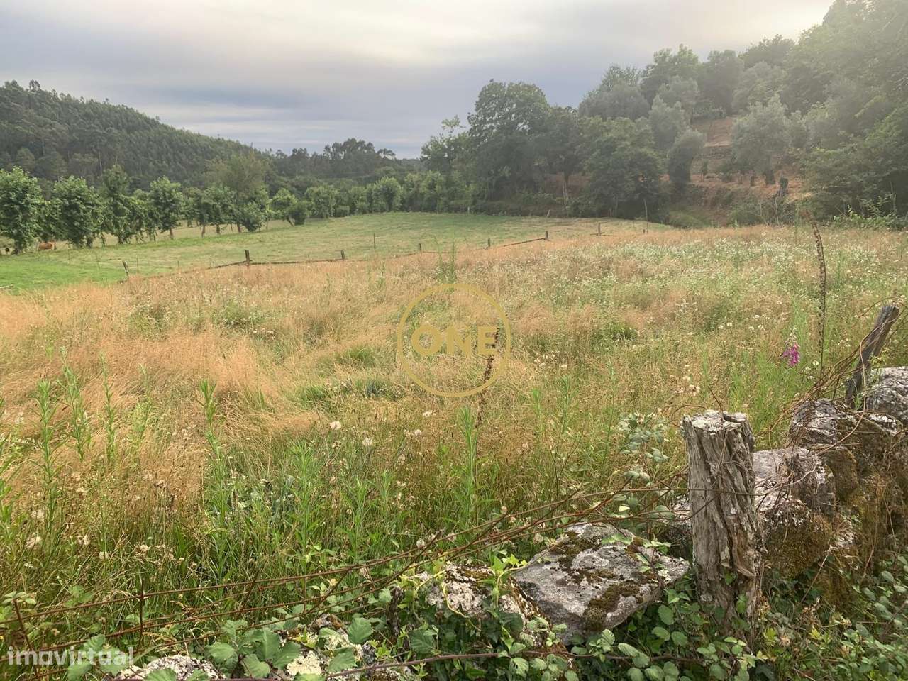 Terreno Rústico em Vieira do Minho - Grande imagem: 4/4