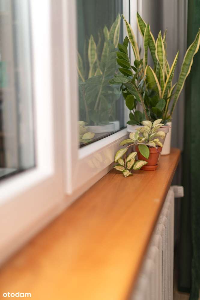 Pierwsze piętro | 64,6 m² | balkon | piwnica I 3 pokoje-8