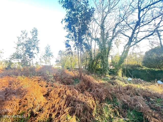 Terreno  Venda em Canelas,Vila Nova de Gaia-5