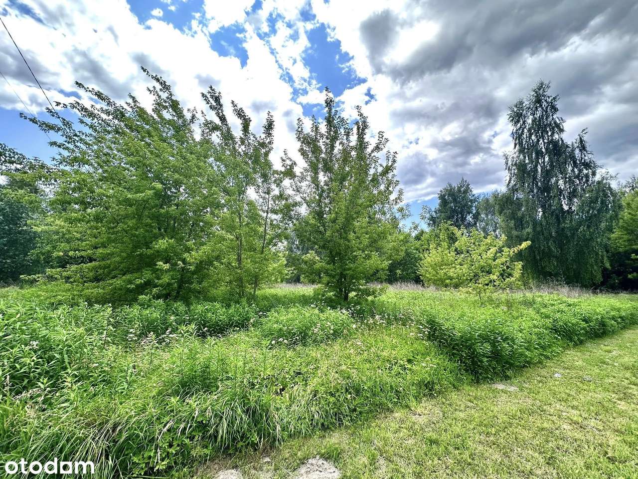 Działka rolna z potencjałem budowlanym, Stok Lacki, ul. Dolna - Pełny obrazek: 3/4