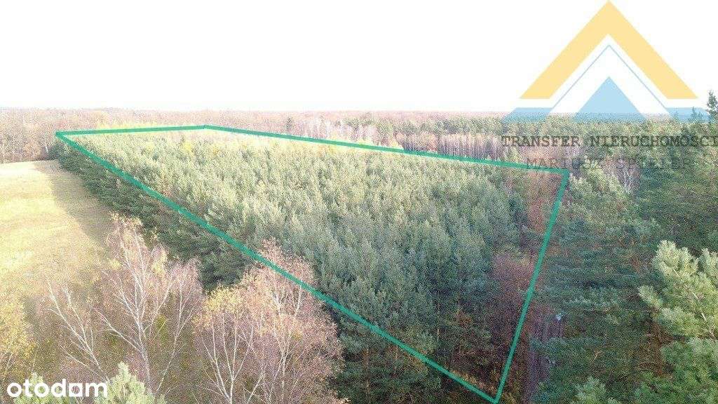 Działka leśna w Chłopowie 3,24 ha , 230 tys.!-0