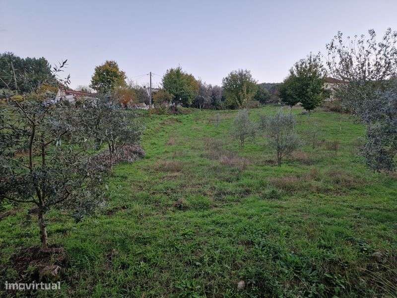 Terreno rústico com 1790m² - Grande imagem: 5/10