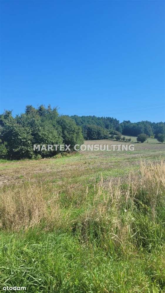 Działka, 38 902 m², Podbucze - Pełny obrazek: 4/8