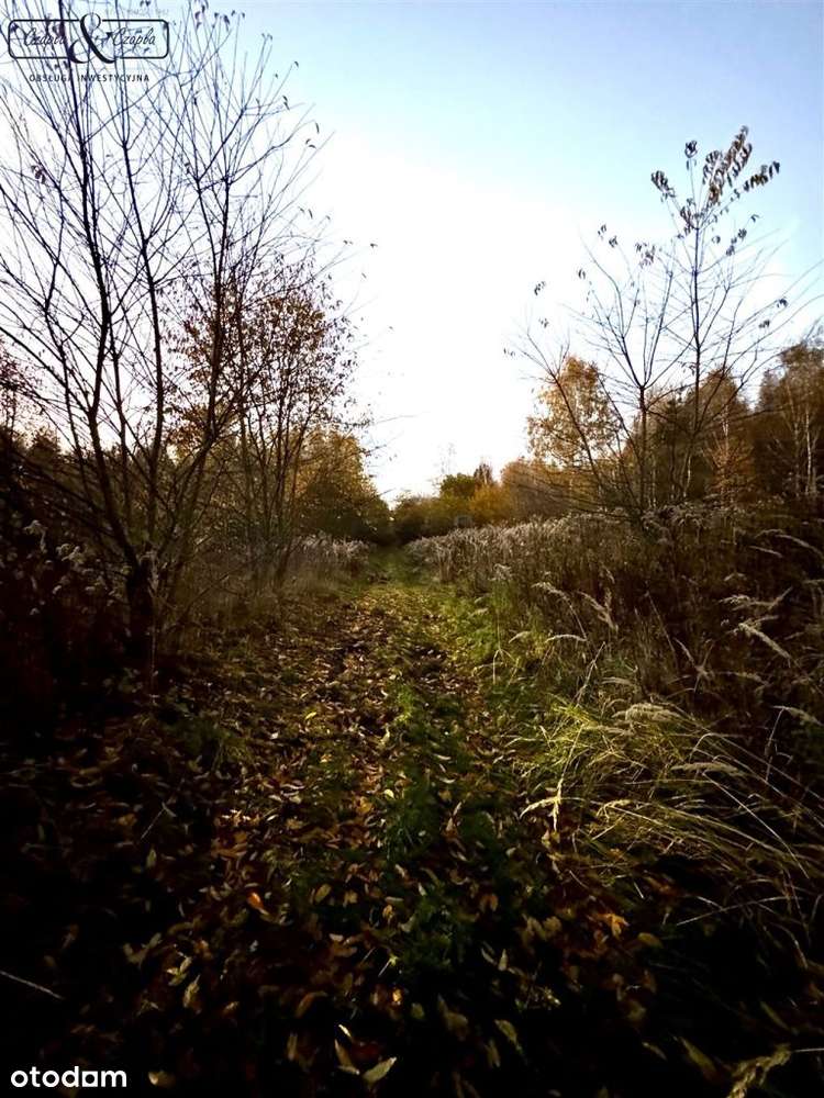 Działka rolno leśna w Rudnie - Pełny obrazek: 4/4