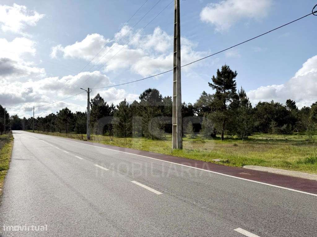 Oportunidade - 5 ha | Zona Industrial Salvaterra de Magos-10