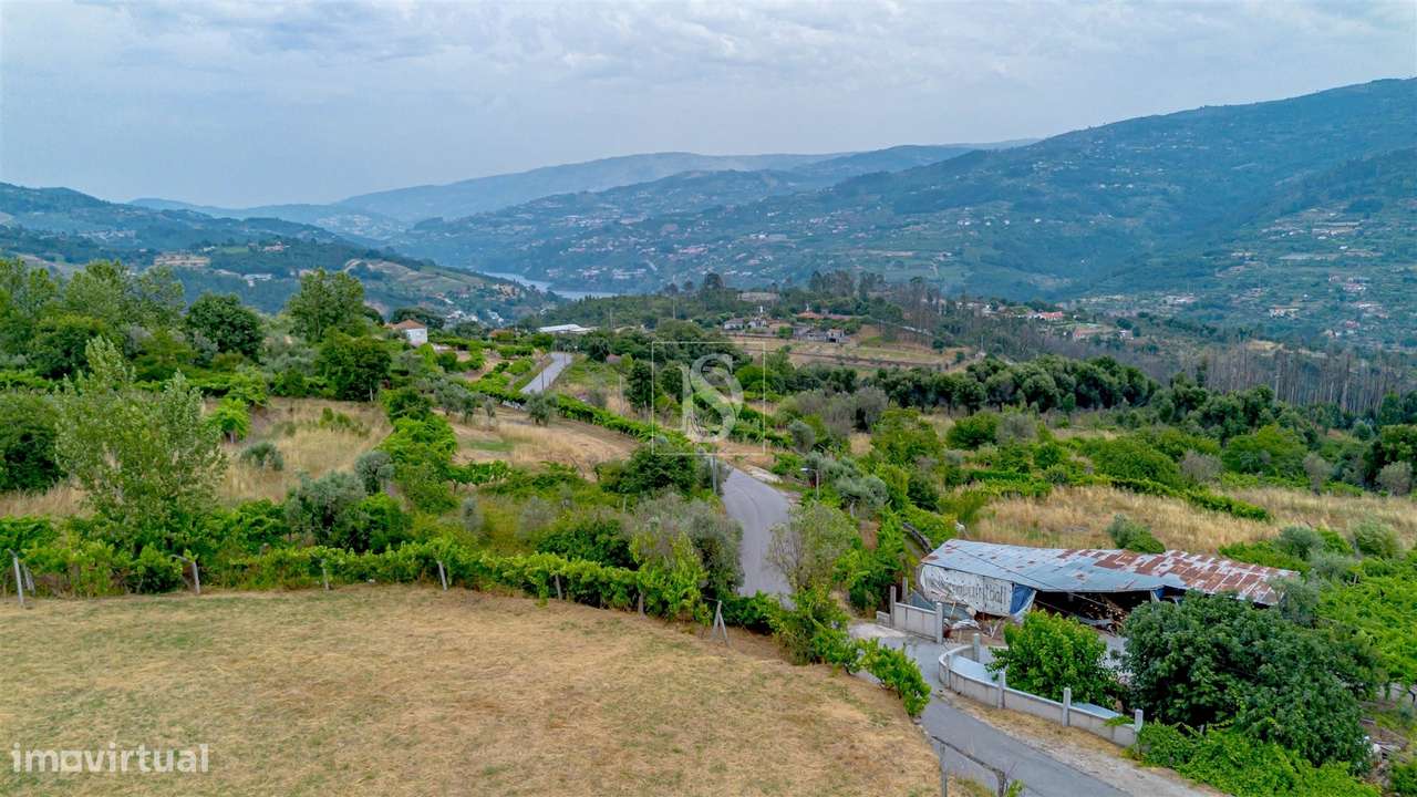 Terreno Para Construção  Venda em Ancede e Ribadouro,Baião-15