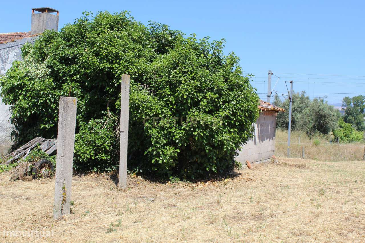 Moradia para remodelar Soure - Sobral. - Grande imagem: 5/19