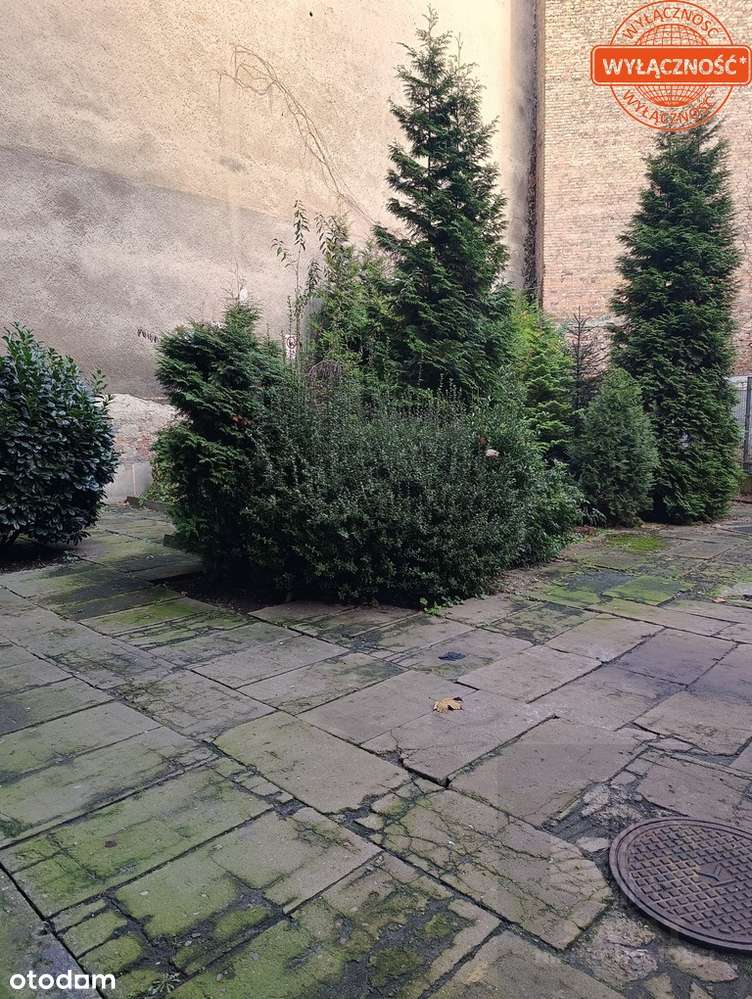 Atrakcyjne mieszkanie w centrum – 2 pokoje, balkon-14