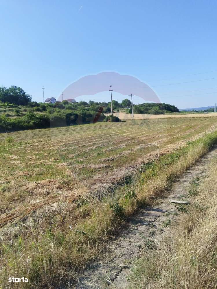 Teren 2,000mp Bradesti / None - Imagine principală: 2/4