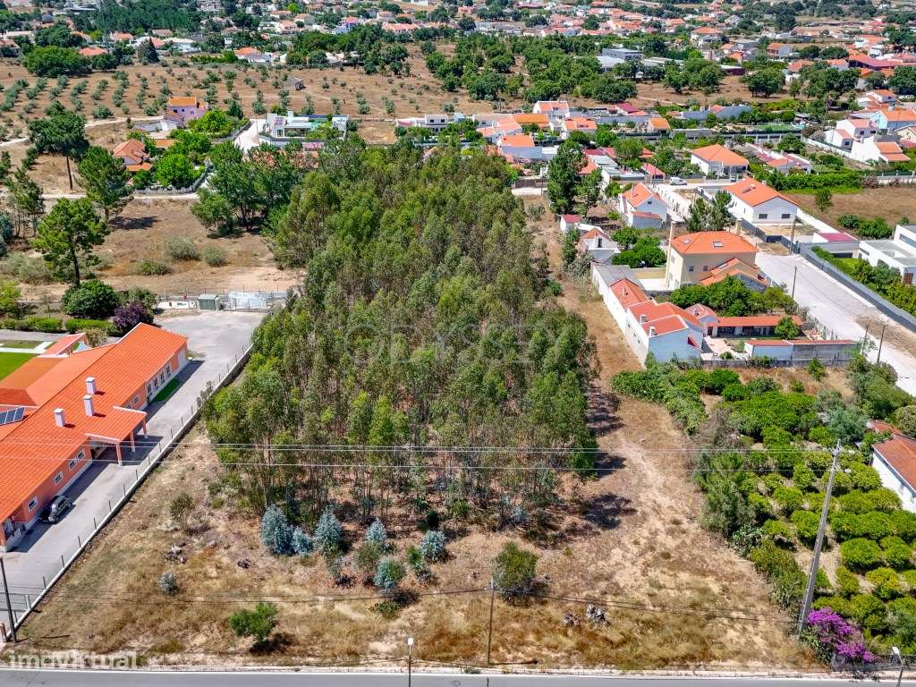 Terreno Urbanizável Venda Palmela - Grande imagem: 3/16