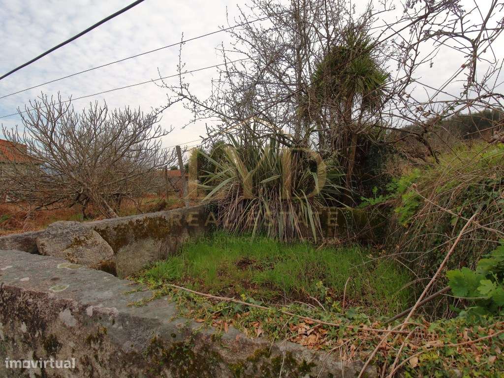 Quintinha para recuperar em Luzim Penafiel-8