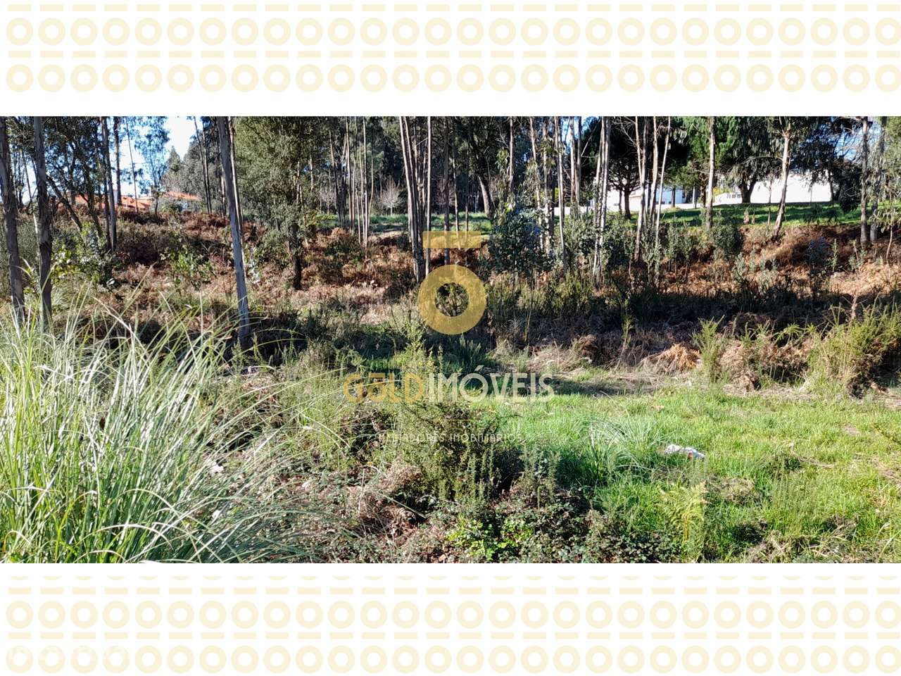 Lote de Terreno para construção em Anta - Espinho - Grande imagem: 4/5