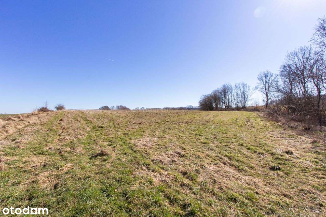 Działka rolna 3,18 ha - Pełny obrazek: 5/8