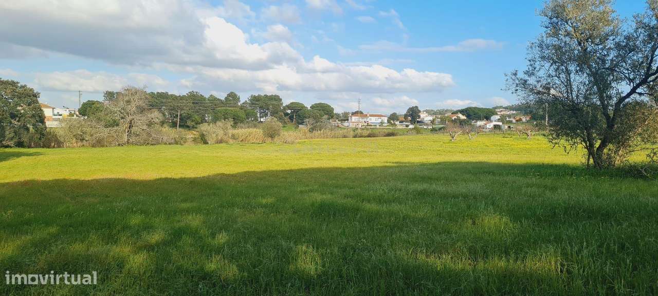 Terreno Amplo em Zona Privilegiada, Próximo das Praias e Ideal para Pr - Grande imagem: 4/6