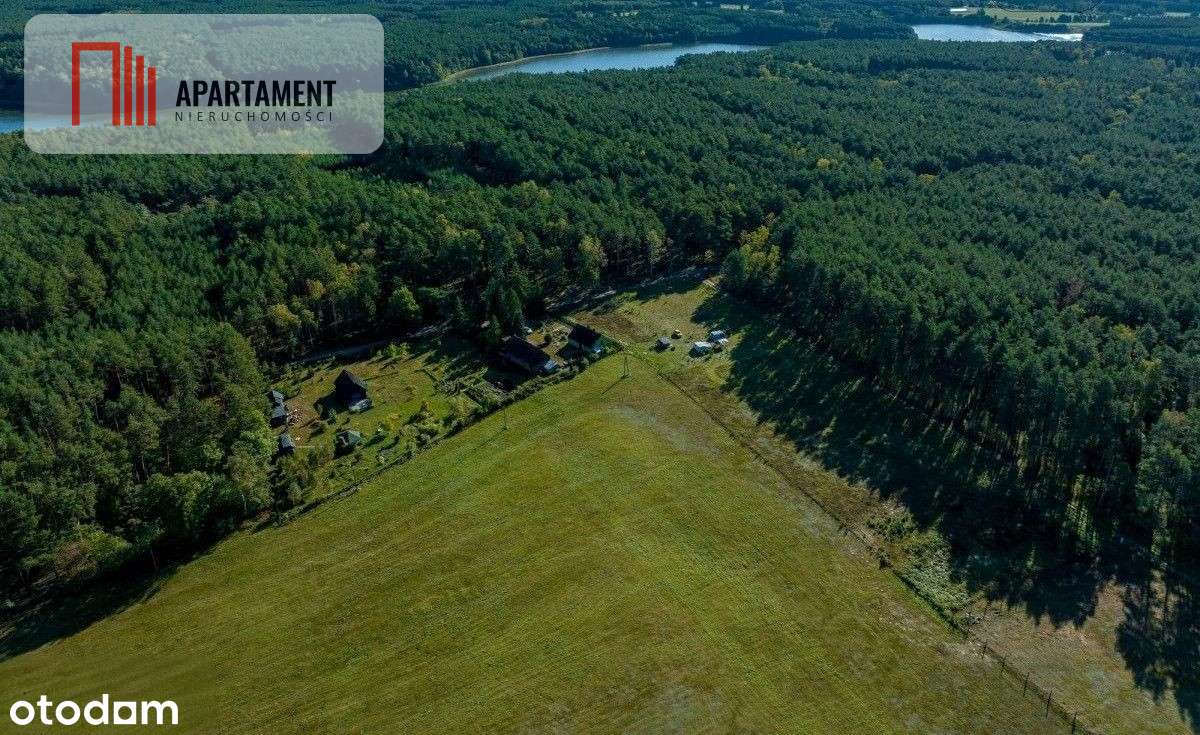 Wyjątkowa działka w sercu natury - Zatom Nowy - Pełny obrazek: 4/7