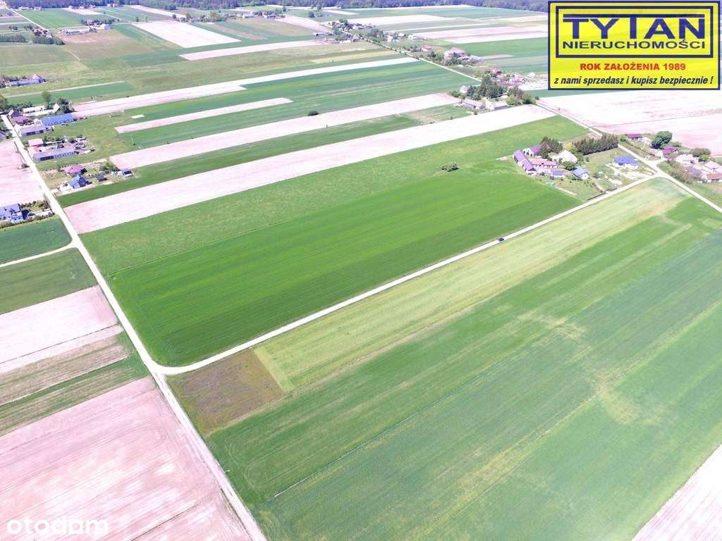 Działka, 1 318 m², Czerwone - Pełny obrazek: 4/8