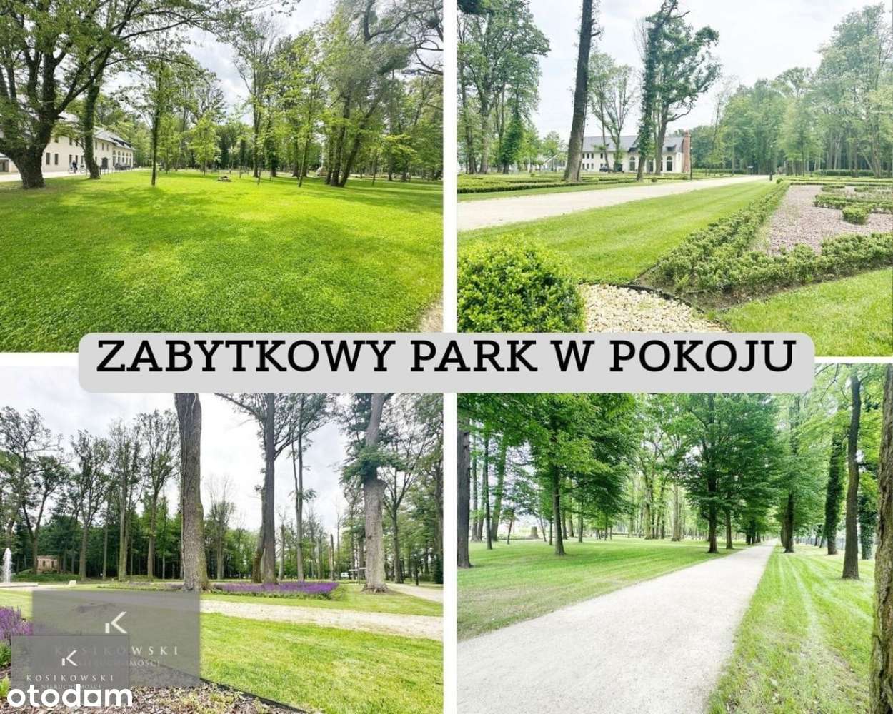 Dom wolnostojący na sprzedaż duża działka 234m2