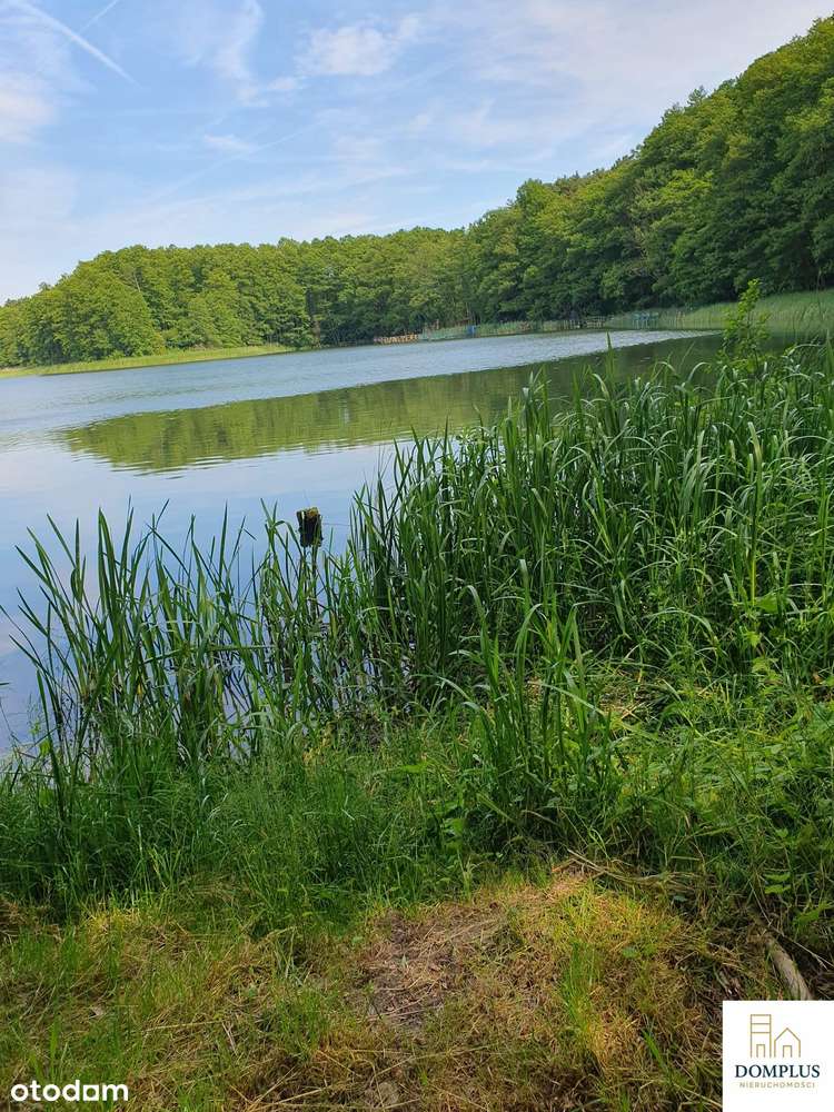 Atrakcyjna działka budowlano-handlowo-turystyczna w Mierzynie (powiat - Pełny obrazek: 4/19