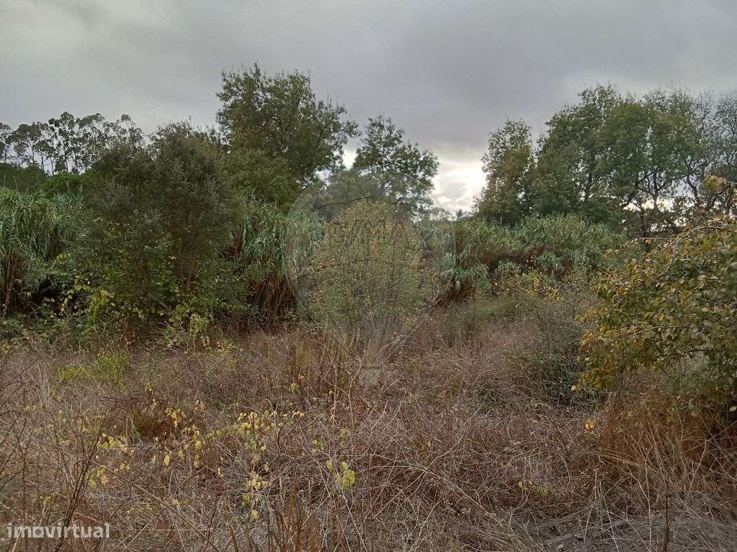 Terreno  para venda - Grande imagem: 5/12